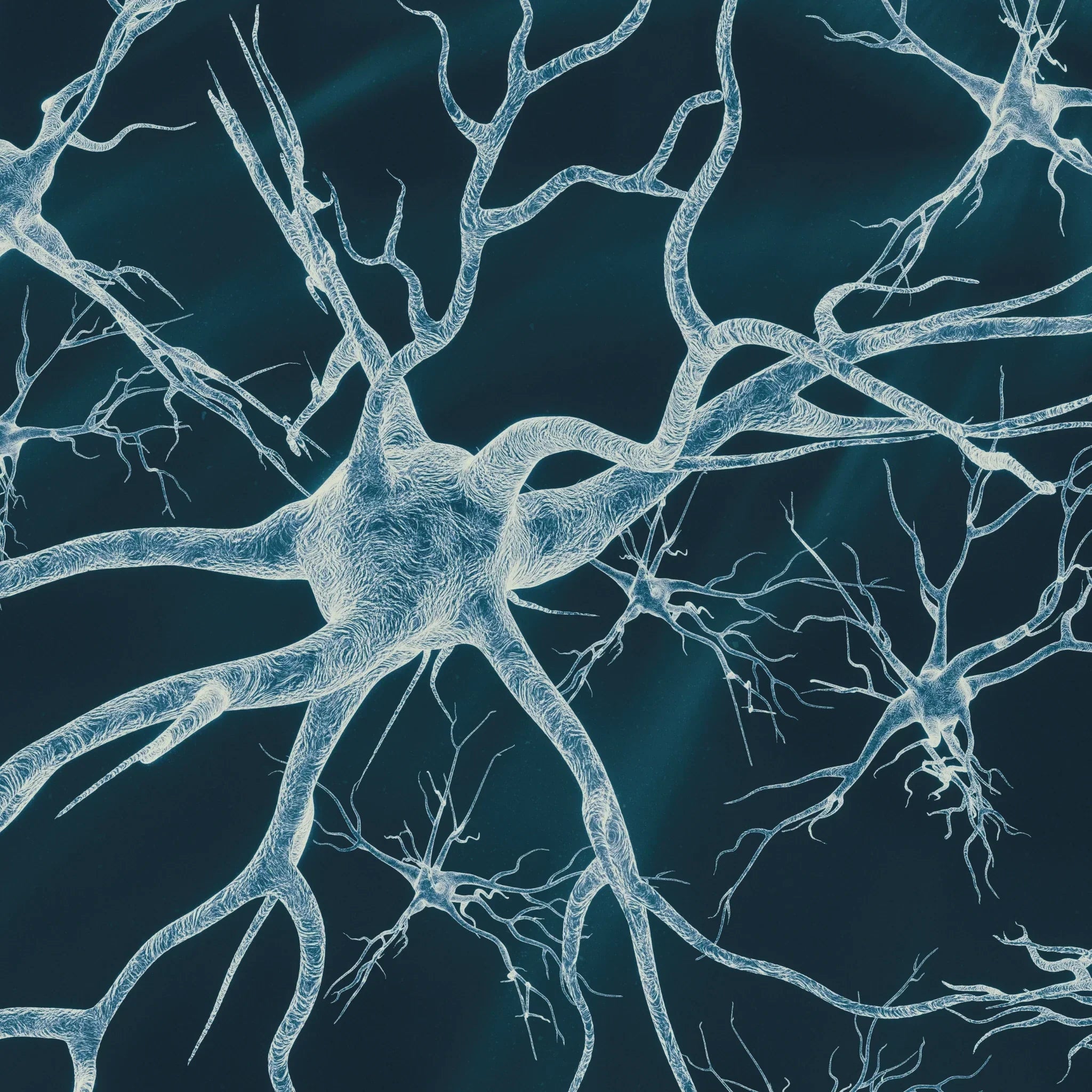 Nervensystem trainieren: Der unterschätzte Longevity-Schlüssel für mehr Stressresistenz