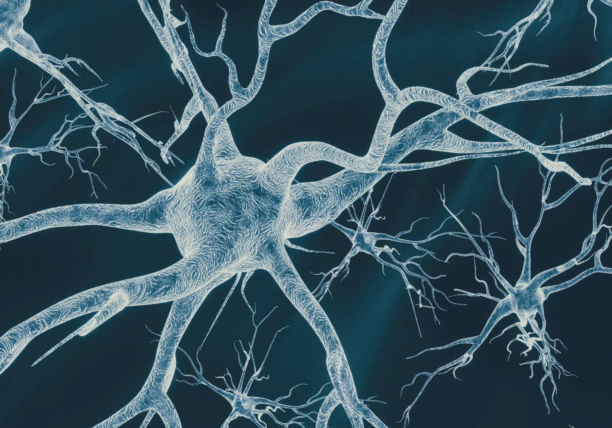 Nervensystem trainieren: Der unterschätzte Longevity-Schlüssel für mehr Stressresistenz
