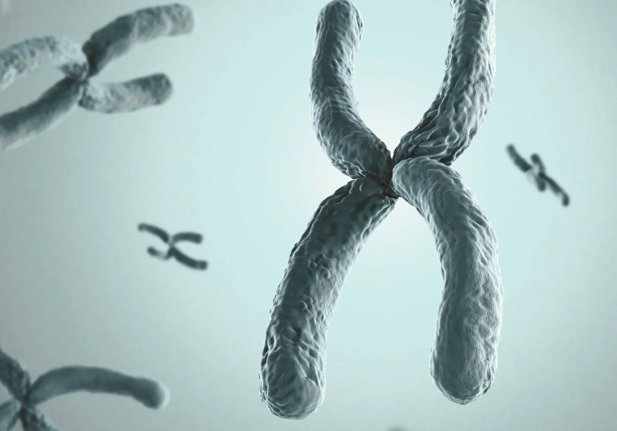 Telomere – der Schlüssel zum biologischen Alter