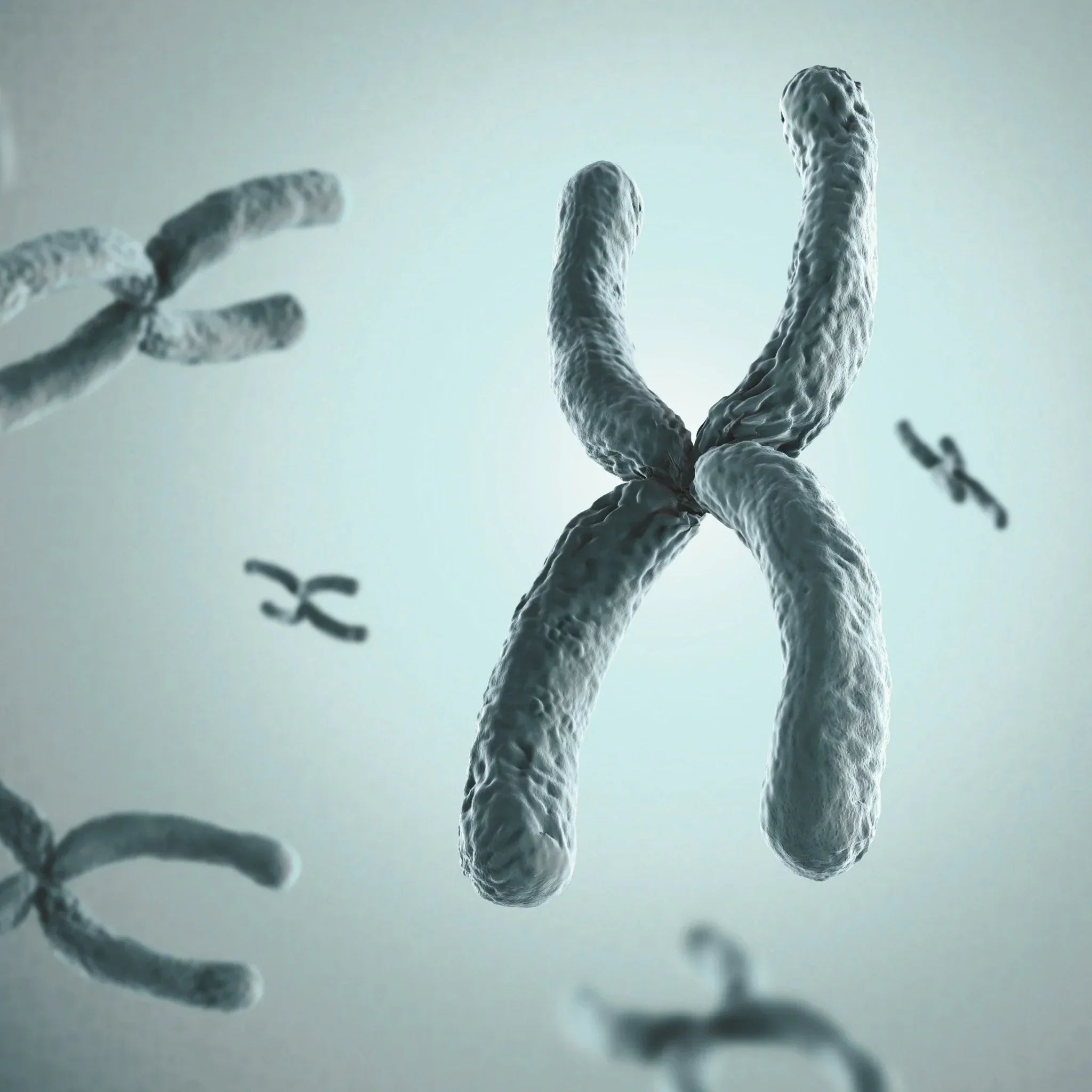 Telomere – der Schlüssel zum biologischen Alter