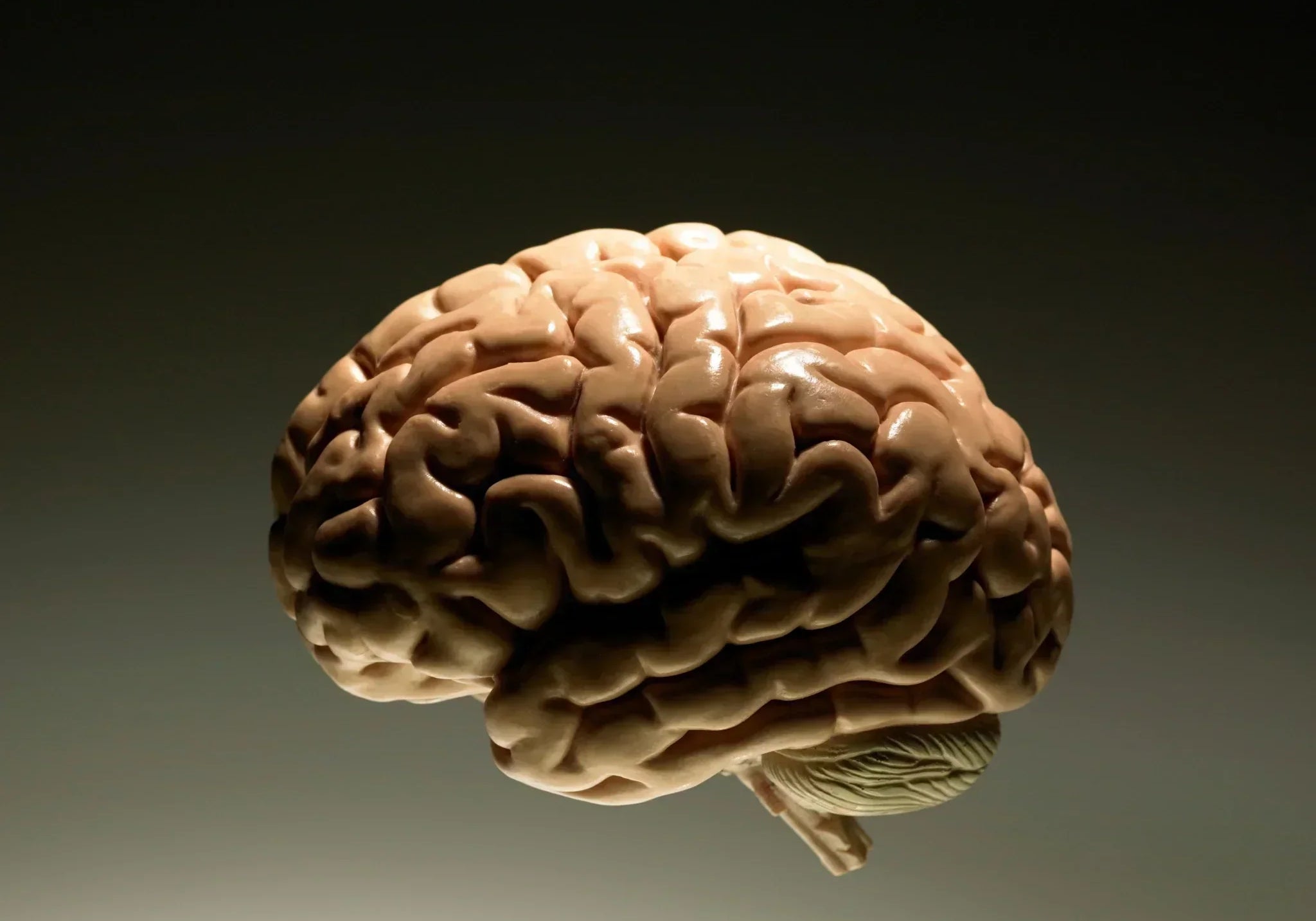 So bleibt dein Gehirn leistungsfähig