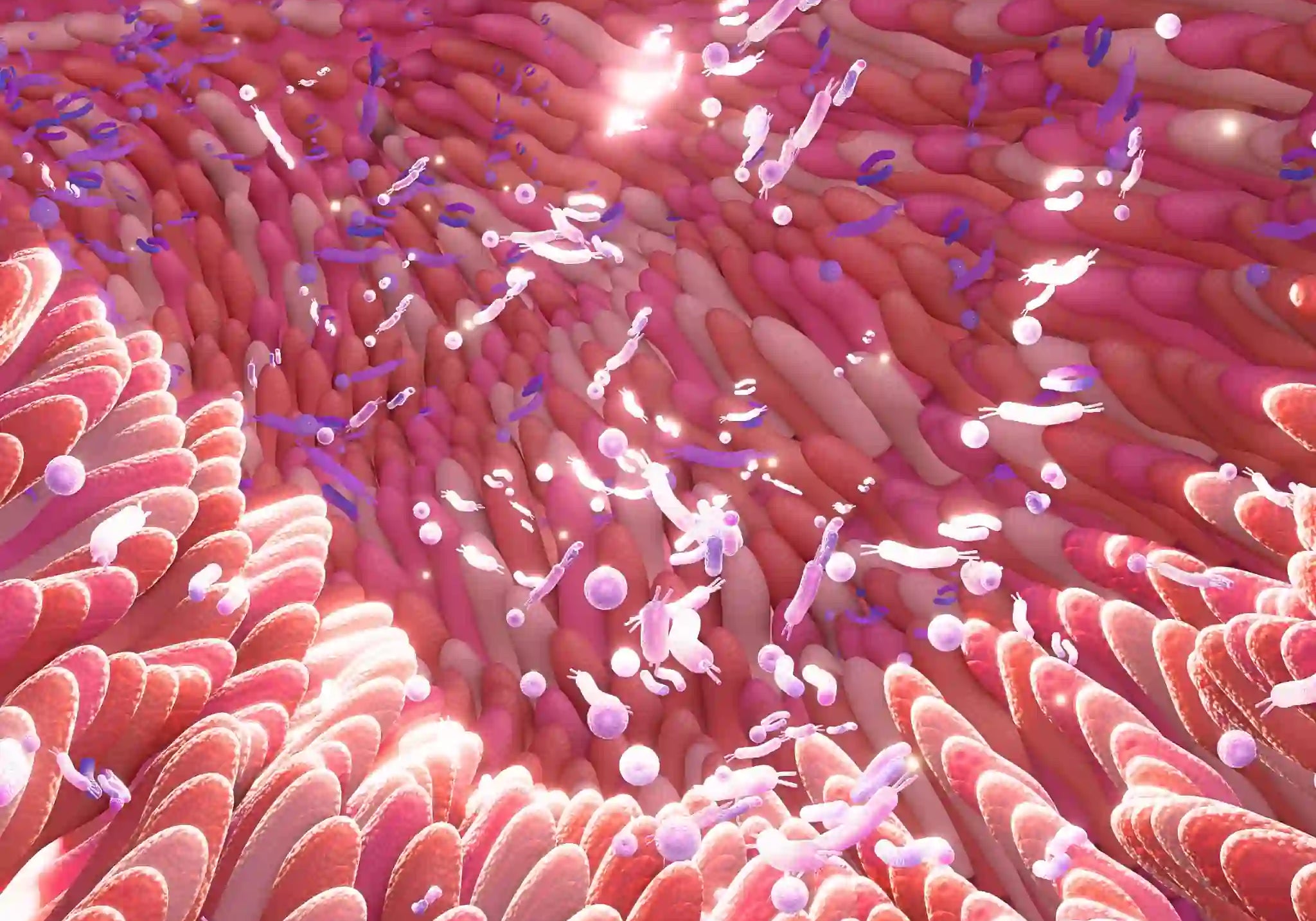 Dein Mikrobiom: Schlüssel für Vitalität, Energie und Lebensqualität