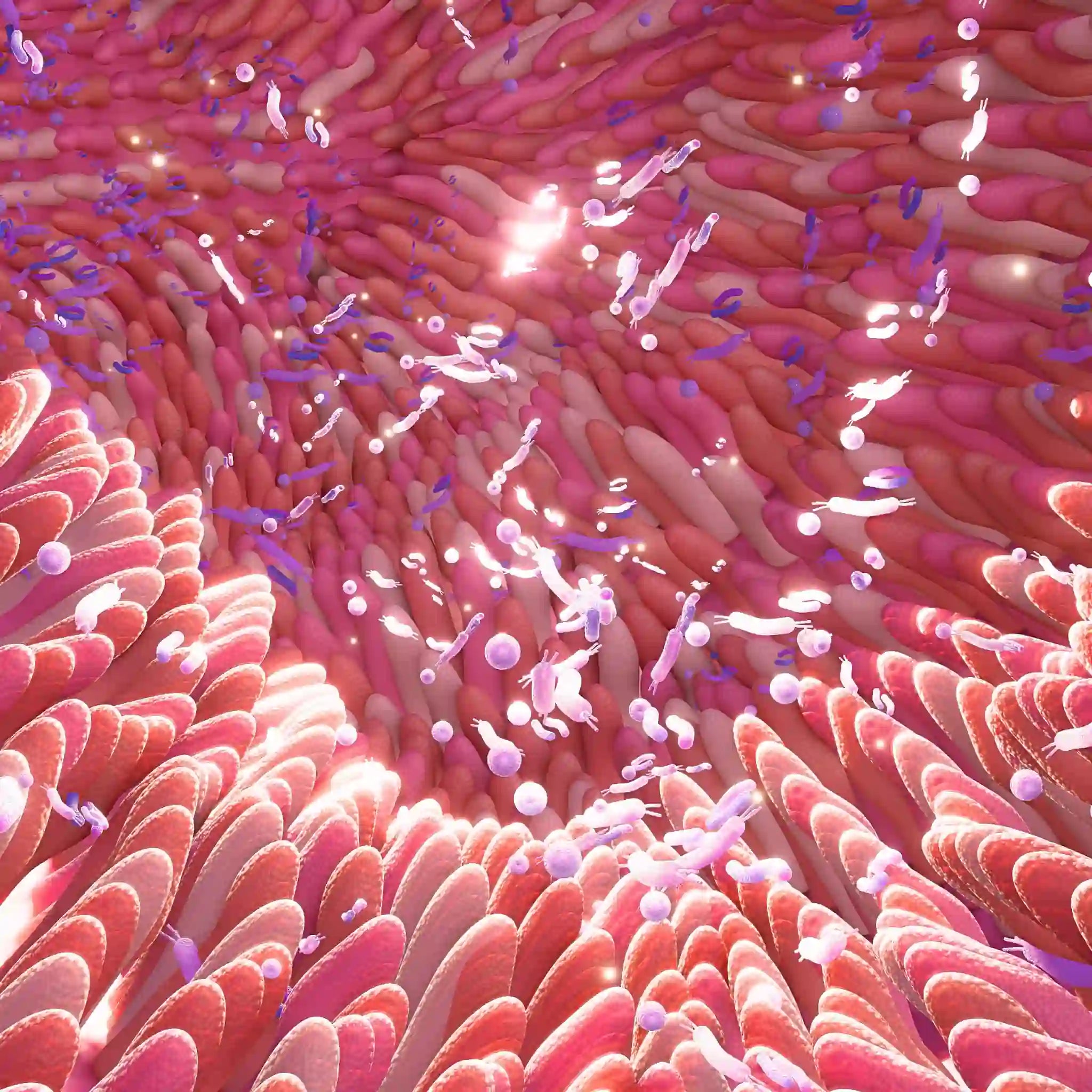 Dein Mikrobiom: Schlüssel für Vitalität, Energie und Lebensqualität