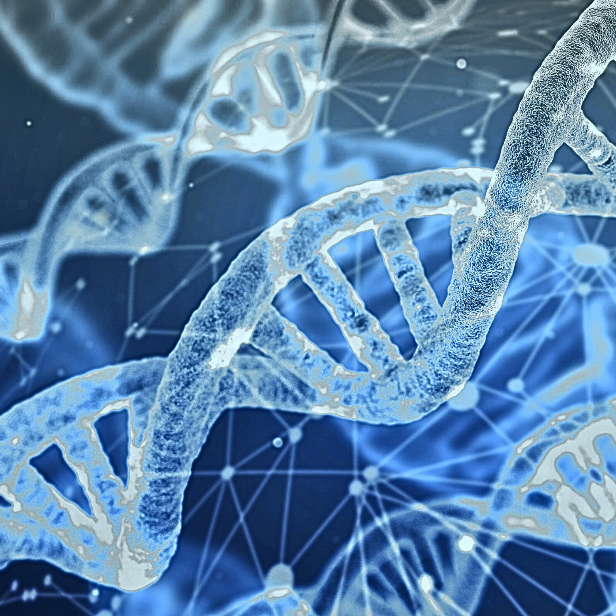 Epigenetik – einfach erklärt: Longevity, Horvath Clock & dein Alltag