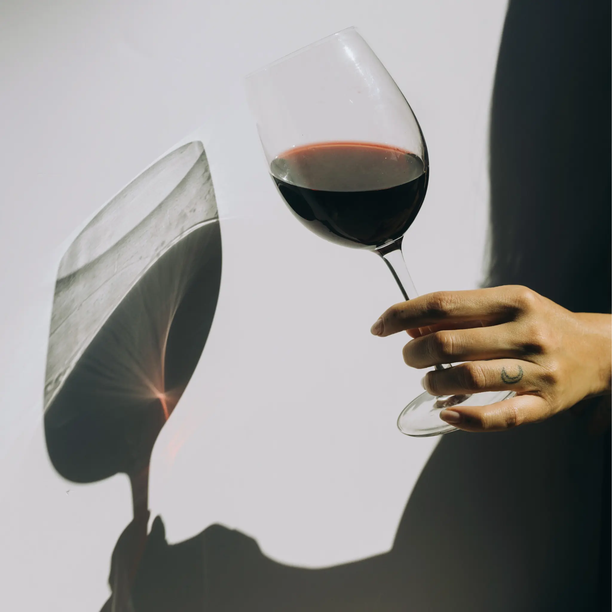 Resveratrol: Was es ist, wofür es erforscht wird – und wie du es sinnvoll einordnest