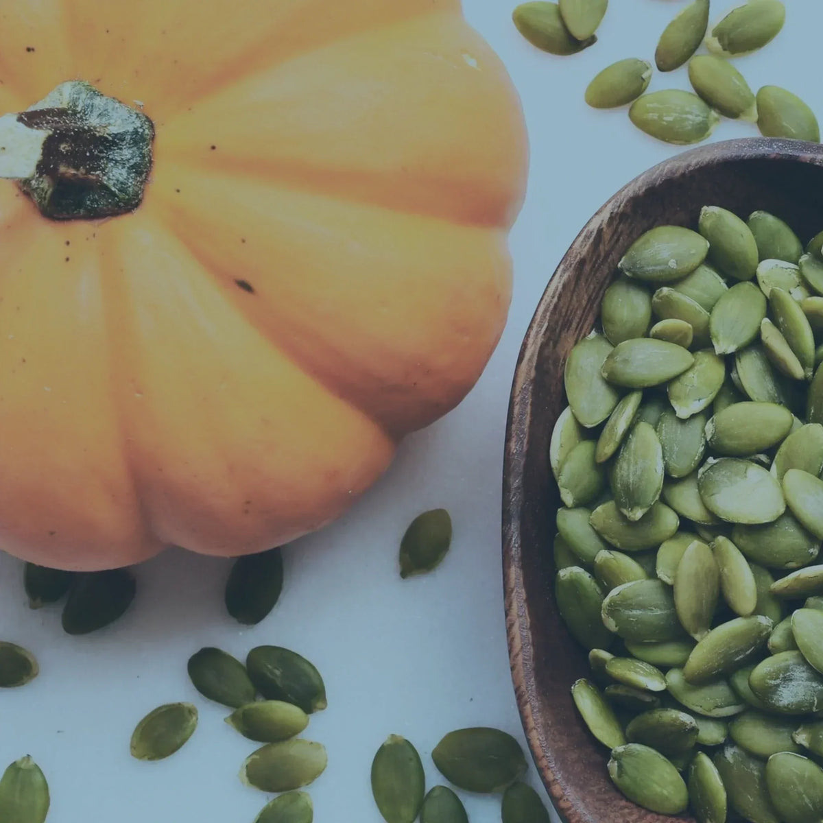 Zink – der unterschätzte Mikronährstoff für gesunde Zellen