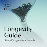 Dein Longevity Guide